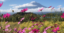 大石公園と富士山