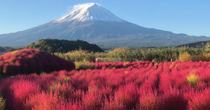 富士山とｺｷｱ